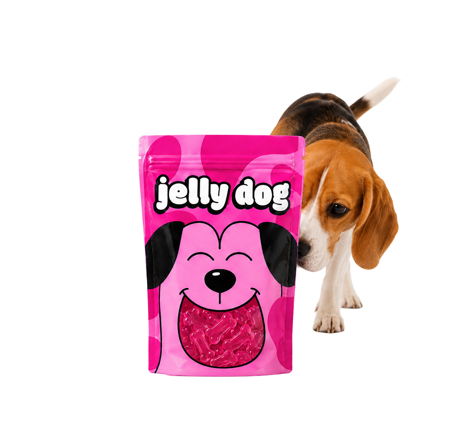Ossinho de gelatina jelly dog